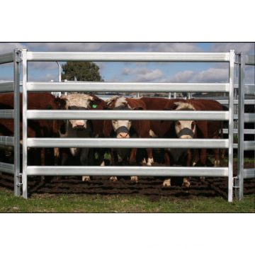 42X115mm 5bar Cattle Yard Panel